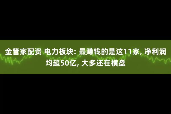 金管家配资 电力板块: 最赚钱的是这11家, 净利润均超50亿, 大多还在横盘